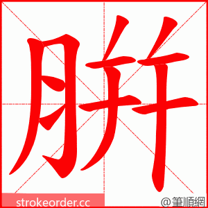 腁 的笔顺动画顺序