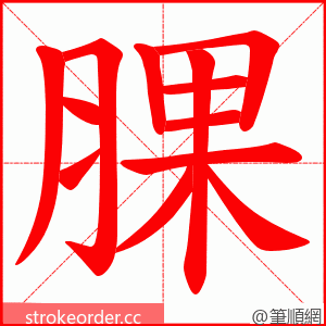 腂 的笔顺动画顺序