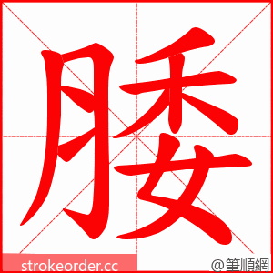 腇 的笔顺动画顺序