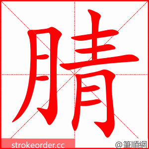 腈 的笔顺动画顺序