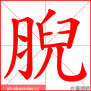 腉 的笔顺动画顺序