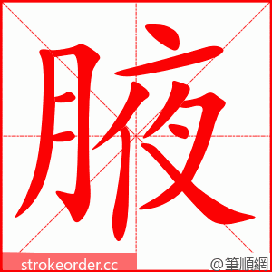 腋 的笔顺动画顺序