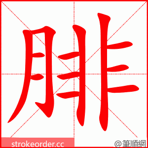 腓 的笔顺动画顺序