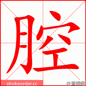 stroke order animation of 腔