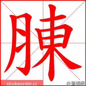 腖 的笔顺动画顺序