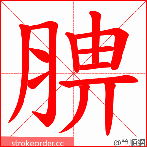 腗 的笔顺动画顺序