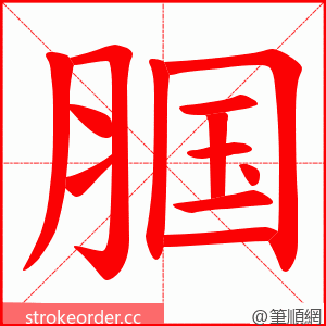腘 的笔顺动画顺序