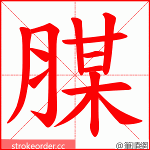 腜 的笔顺动画顺序