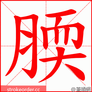 腝 的笔顺动画顺序