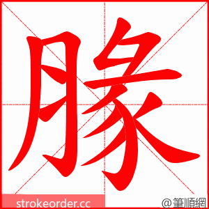 腞 的笔顺动画顺序