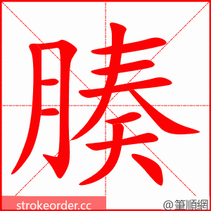 腠 的笔顺动画顺序