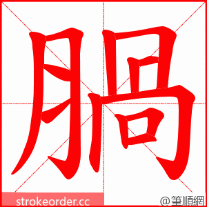 腡 的笔顺动画顺序