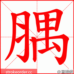 腢 的笔顺动画顺序