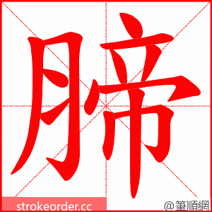 腣 的笔顺动画顺序