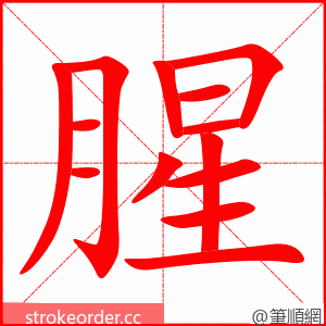 stroke order animation of 腥