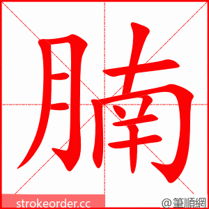 腩 的笔顺动画顺序