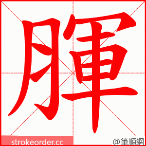 腪 的笔顺动画顺序