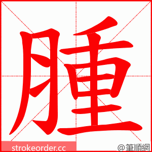 腫 的笔顺动画顺序
