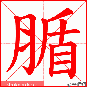 腯 的笔顺动画顺序