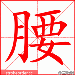 stroke order animation of 腰