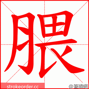 腲 的笔顺动画顺序