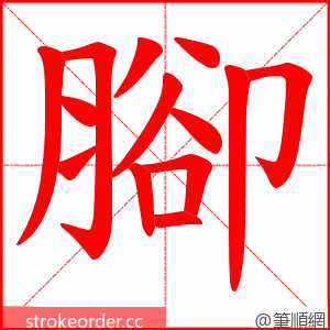 腳 的笔顺动画顺序