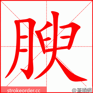 腴 的笔顺动画顺序
