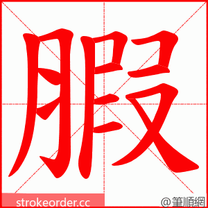 腵 的笔顺动画顺序