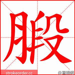 腶 的笔顺动画顺序