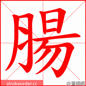 腸 的笔顺动画顺序