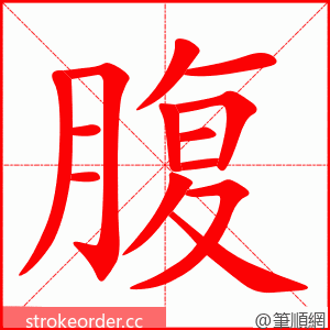 stroke order animation of 腹