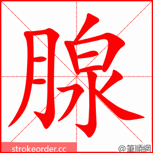 腺 的笔顺动画顺序