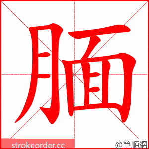 腼 的笔顺动画顺序