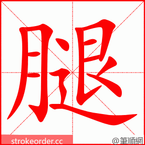 腿 的笔顺动画顺序