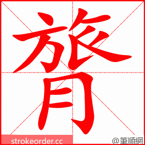 膂 的笔顺动画顺序