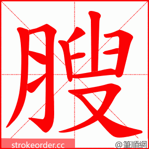 膄 的笔顺动画顺序