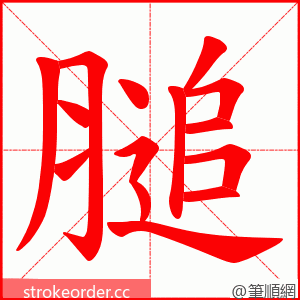 膇 的笔顺动画顺序