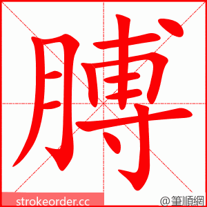 stroke order animation of 膊
