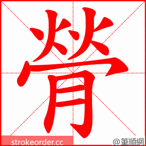 膋 的笔顺动画顺序