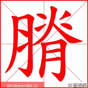 膌 的笔顺动画顺序