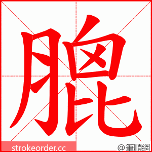 膍 的笔顺动画顺序