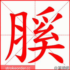 膎 的笔顺动画顺序