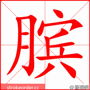 膑 的笔顺动画顺序