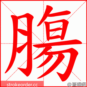 膓 的笔顺动画顺序