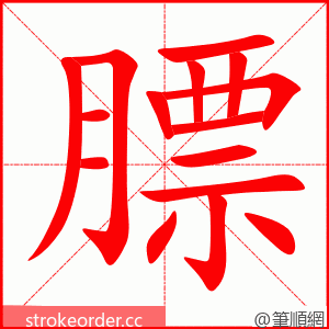 stroke order animation of 膘