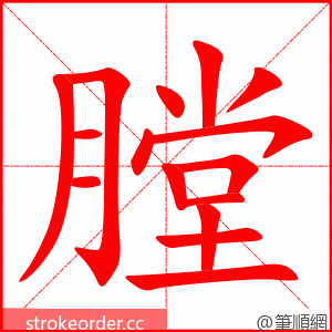 膛 的笔顺动画顺序