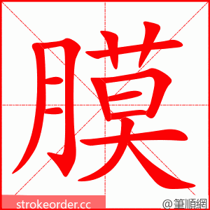 膜 的笔顺动画顺序