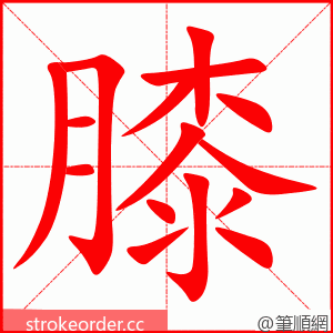stroke order animation of 膝