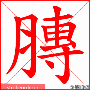 膞 的笔顺动画顺序