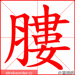 膢 的笔顺动画顺序